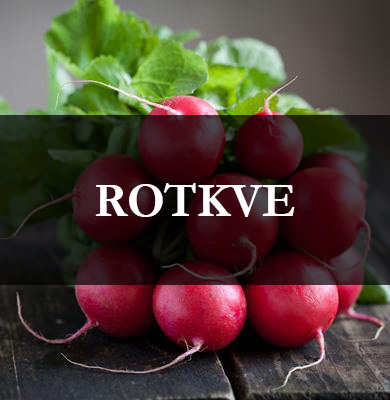 rotkve-seme-mart-2019.jpg