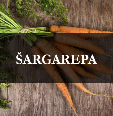 sargarepa-seme-mart-2019.jpg