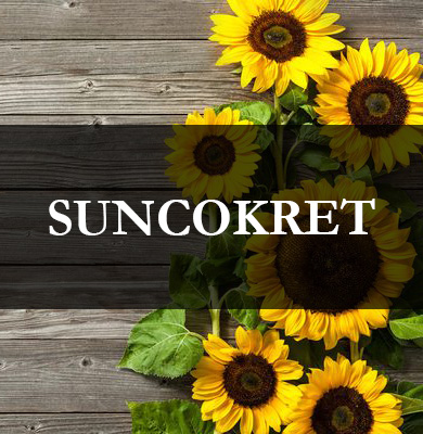 suncokret-seme-mart-2019.jpg